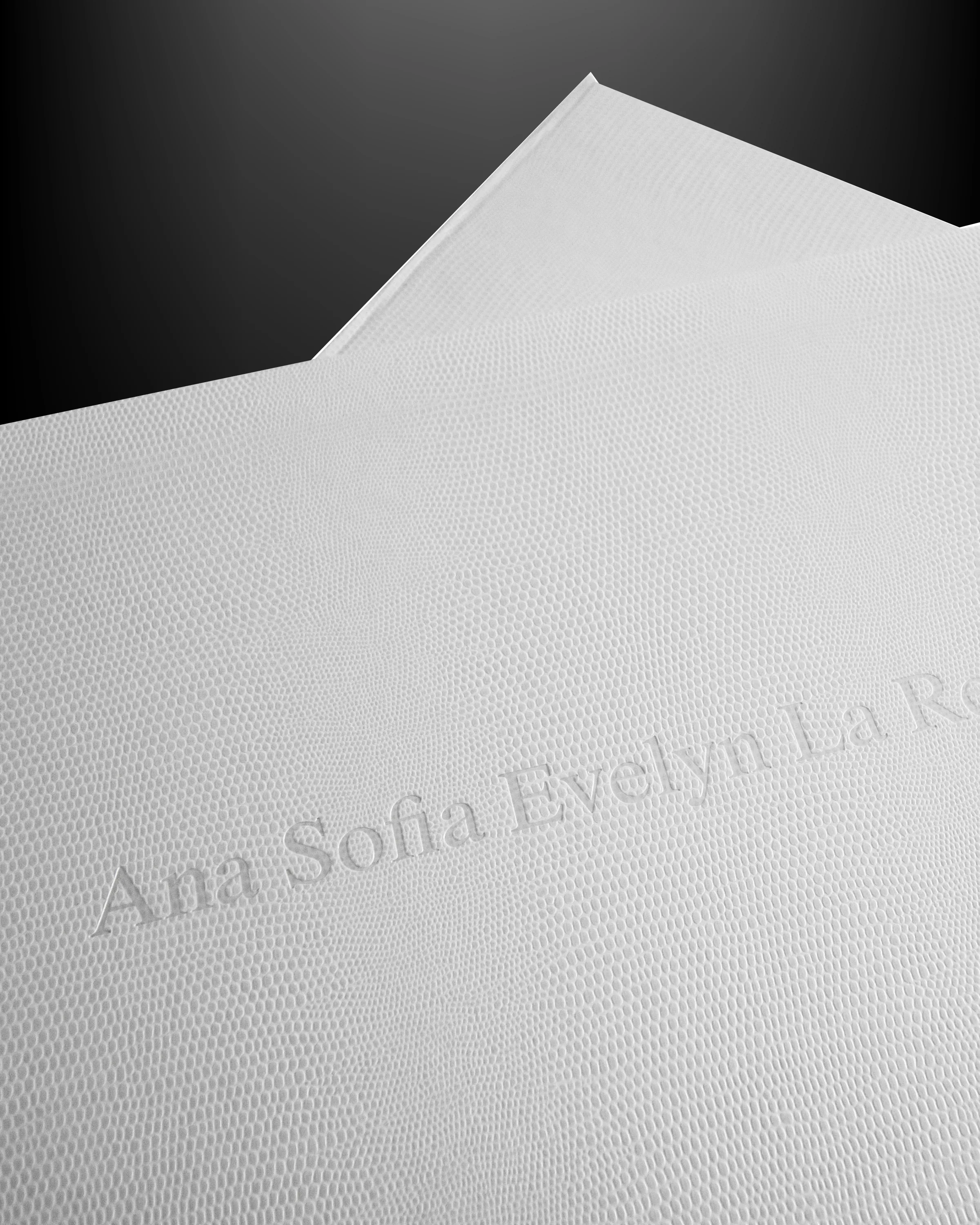 Close-up of names embossed into a white textured family album cover