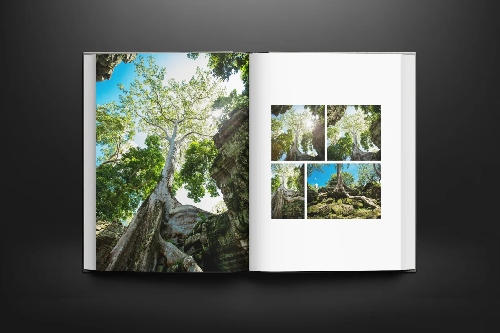 Open photo book displaying a tree-covered stone ruin in a full-page photograph and smaller images